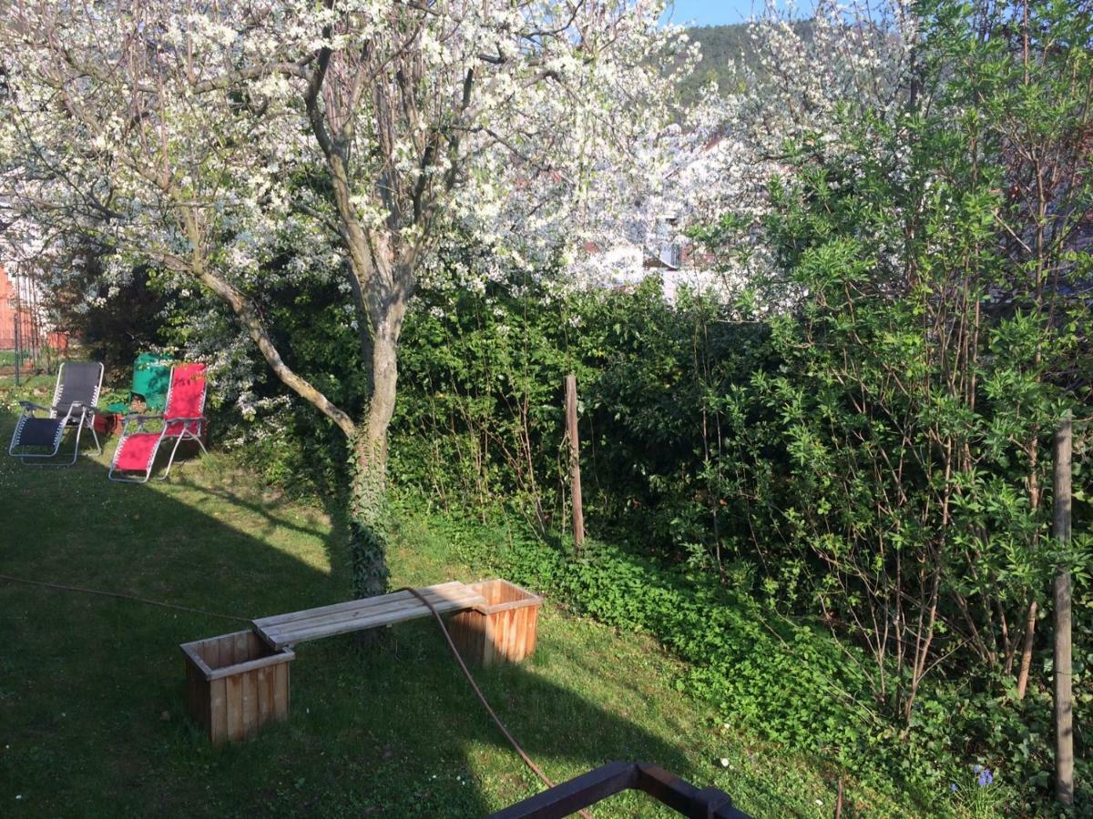 Schones Zimmer In Gimmeldingen/ Konigsbach Neustadt an der Weinstraße Dış mekan fotoğraf